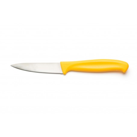 COLTELLO MICRO FRUTTA GIALLO MM 199