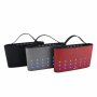 CASSA PORTATILE BLUETOOTH LED