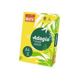 Carta Fotocopie A4 Iq Premium Gr.80 Fg.500