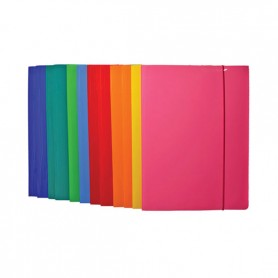 CARTELLA C/ELAST PLASTICA ASS. 