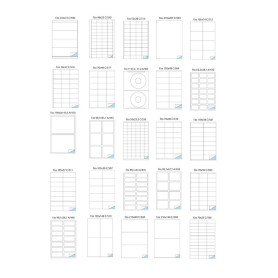 ETICHETTE SU FOGLIO A4 33X48   FG.100