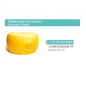 PARMIGIANO REGGIANO IN PP