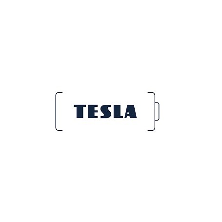 TESLA 23A ALKALINE 12V BL.1 