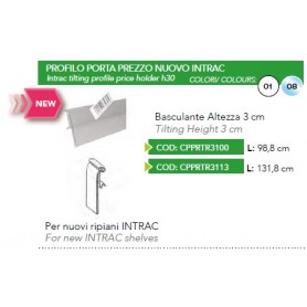 PROFILO NUOVO INTRAC 98.8CM TRASPARENTE 