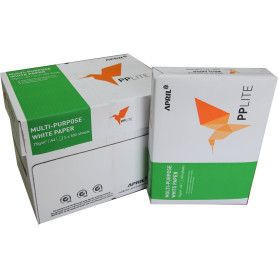 A4 PP LITE RISMA 500 FG