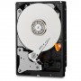 HD WD SATA3 4TB 3.5" PURPLE INTELLIPOWER 64mb cache 24x7 - (Ideali per DVR/PVR) WD40PURZ - Gar. 3 anni
